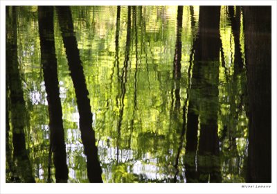Reflet-33w.jpg