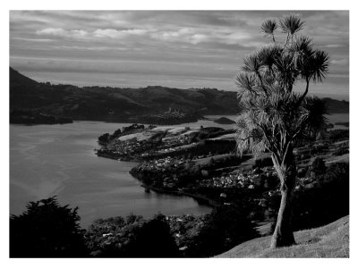 Dunedin Harbour From Highcliff