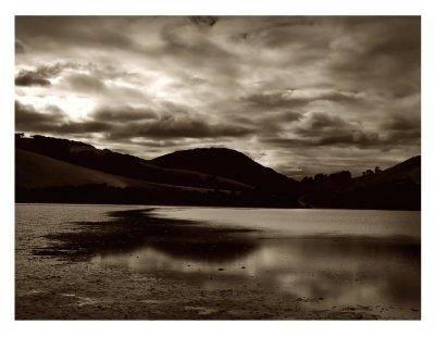 Papanui Inlet