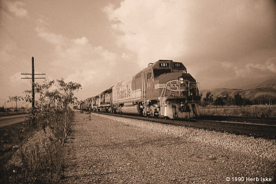 g3/42/800042/3/89030733.Nr14Q0Bg.jpg