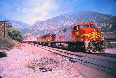 g3/42/800042/3/89900903.acZDm5QX.jpg