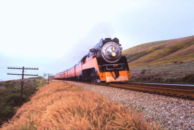 g3/42/800042/3/94571406.ZiEoDSC5.jpg