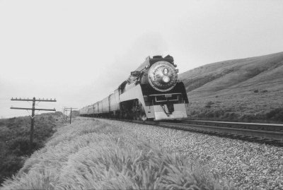 g3/42/800042/3/94909413.kkg8yqRP.jpg
