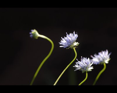g3/42/804242/3/101822356.uGMoq6nx.jpg