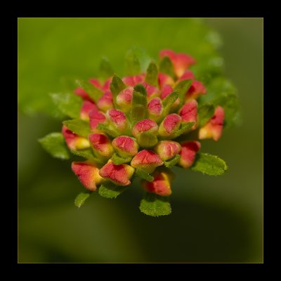 Nature of South Egypt