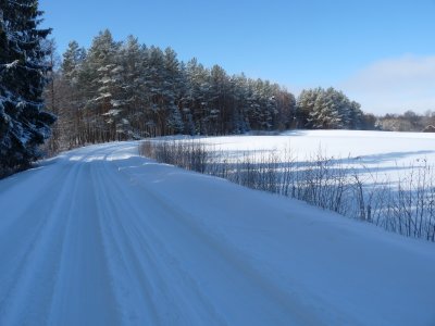SNOWY ROAD