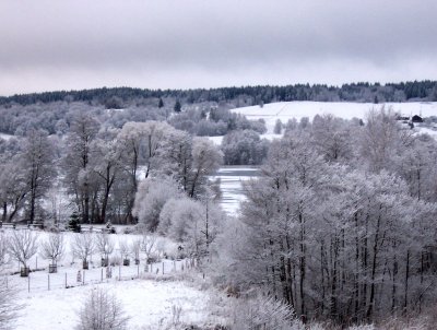 WHITE LANDSCAPE