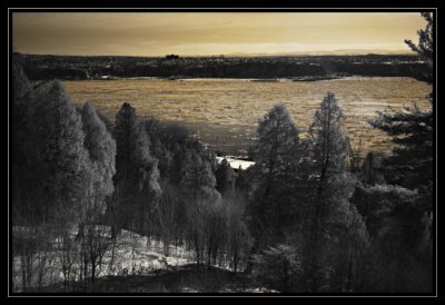 Le St Laurent