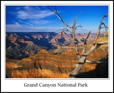 Grand Canyon