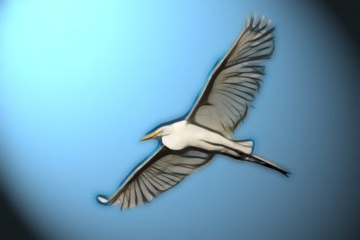 Modified Egret 1.jpg