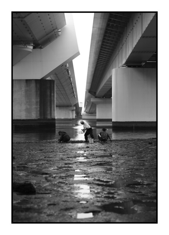 Digging for shellfish, near Haneda, Tokyo