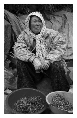 Vegetable seller, Busan