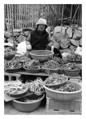 Vegetable seller, Busan