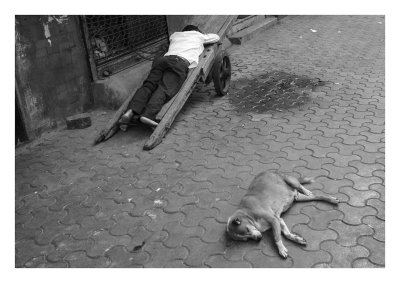 Man and dog, Mumbai