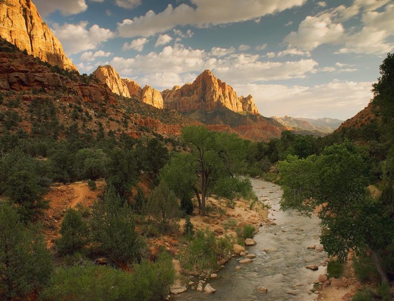 The Watchman