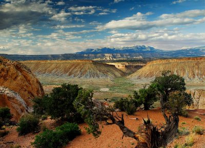 Burr Trail Junction
