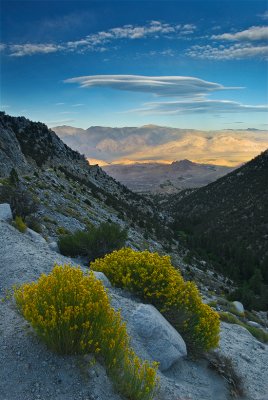 High Sierra Vista