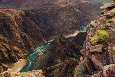 Colorado River- From Plateau Point