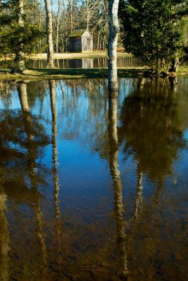 Puddle - Batsto Historic Site