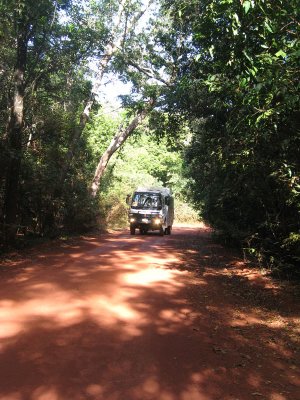 Travels