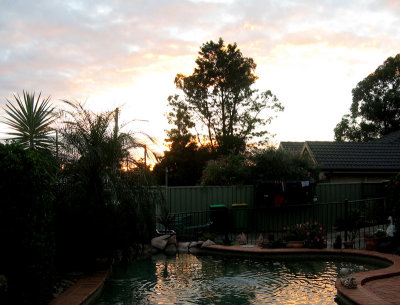Backyard sunrise.jpg