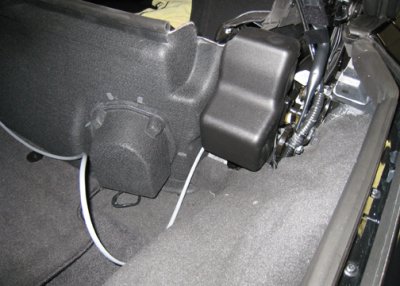 trunk3.jpg