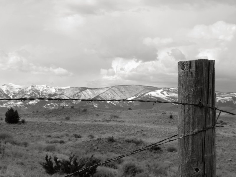 Don't Fence Me In