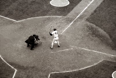 Reggie At Bat