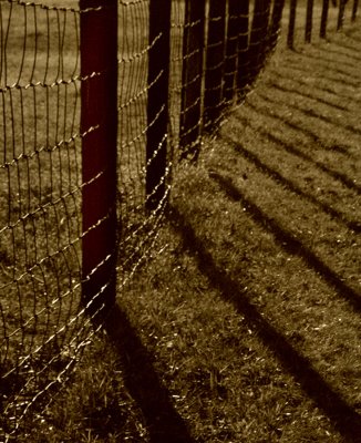Fence With Shadows
