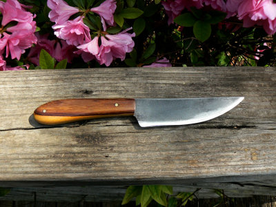 Guyana Rosewood Knife.jpg