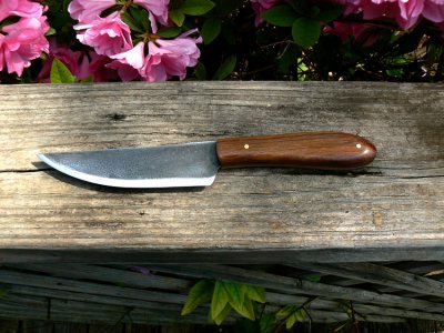 Guyana Rosewood Knife 2.jpg
