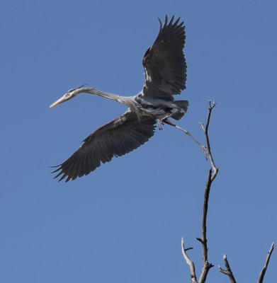 Takeoff 0409.jpg