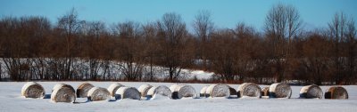 Row of Snowy Hay Bales 2413.jpg