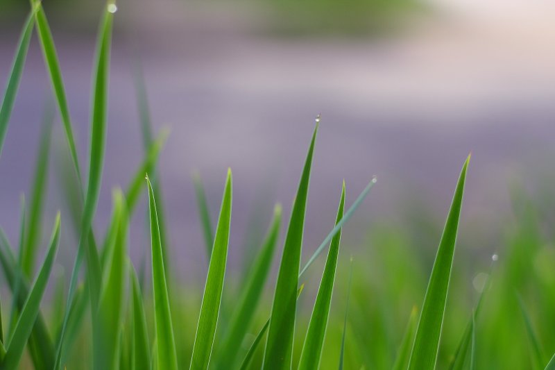DPP_0002.JPG