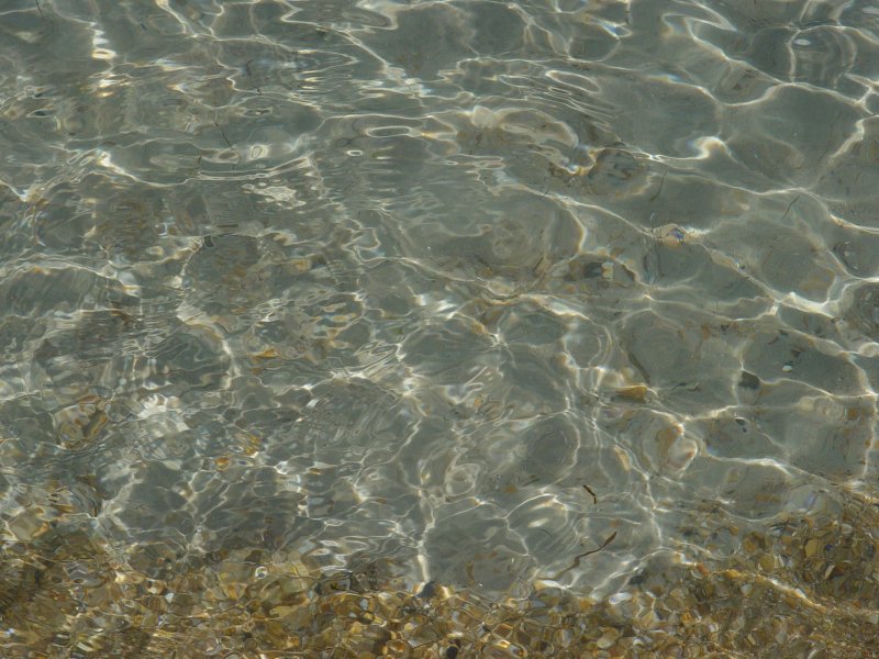 DSC03950.JPG