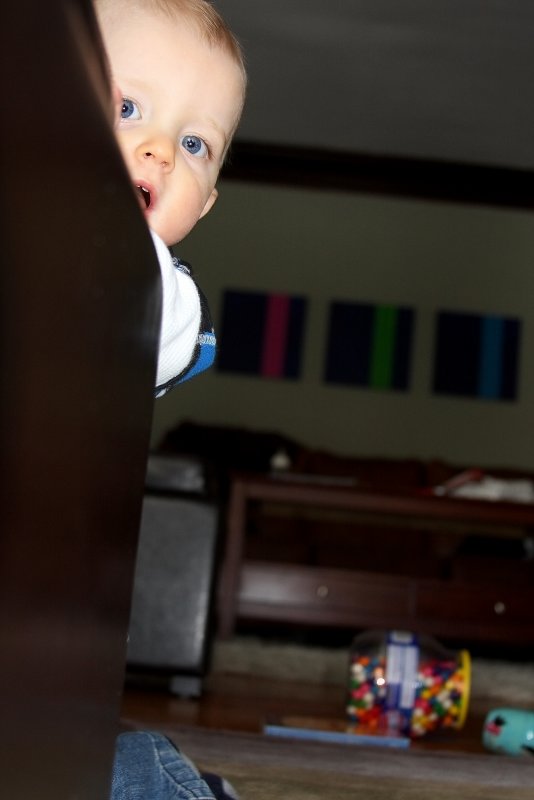 IMG_6786new1.JPG