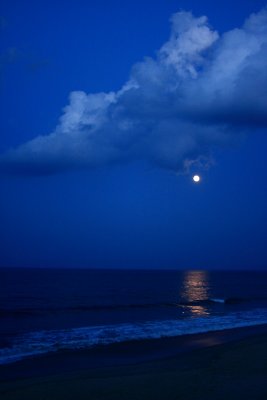 IMG_0536new.JPG