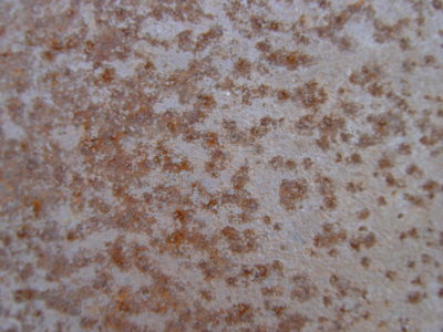 DSC05982.JPG