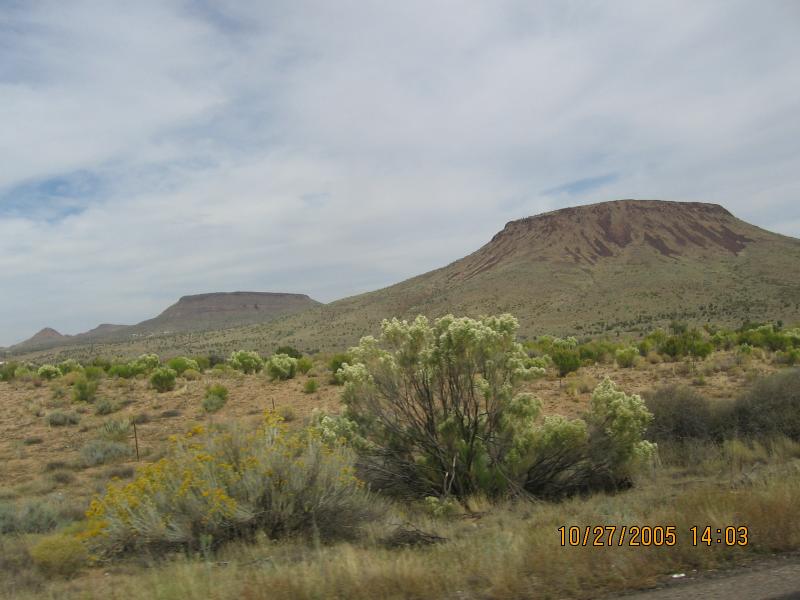 IMG_0726.jpg