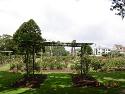 Parnell Rose Gardens, Auckland
