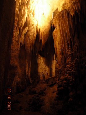 Waitomo Caves, Waitomo