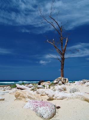 The Beach 1