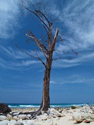 The Beach 2