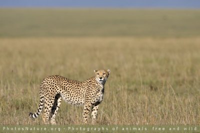 g3/43/345243/3/110063474.Qma0sXYw.jpg