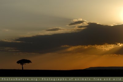 g3/43/345243/3/110124712.ds9bkrSf.jpg