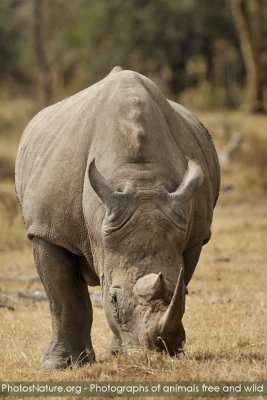 TJ_Kenya-09__05159.jpg