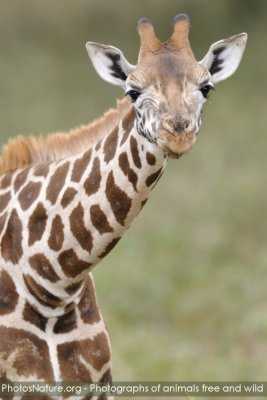 TJ_Kenya-09__05354.jpg