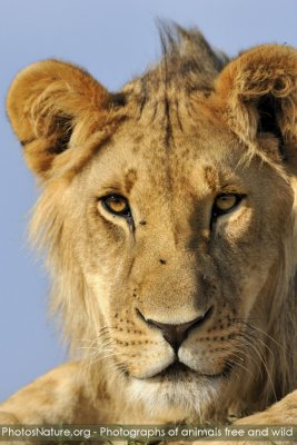 TJ_Kenya-09__11142.jpg