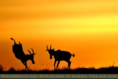 Kenya - Landscapes