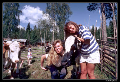 American cowgirls in Dalarna